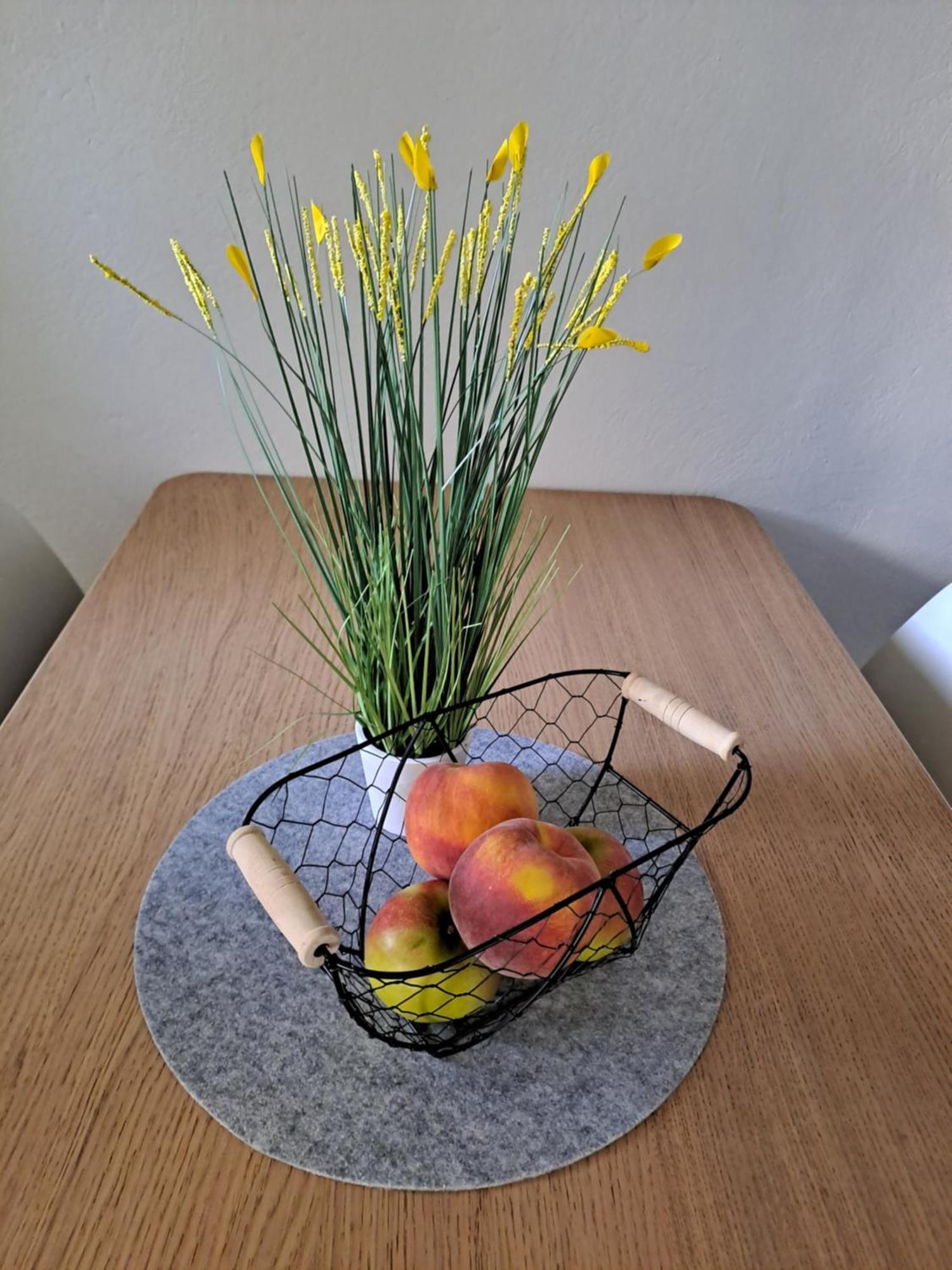 Apartma Studio Jana Kranjska Gora Luaran gambar